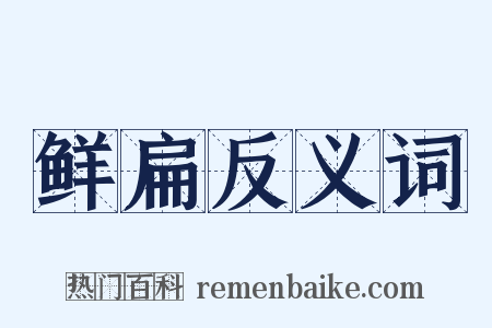 鲜扁反义词是什么意思的图片